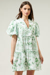 All In The Details Toile Dress in Green