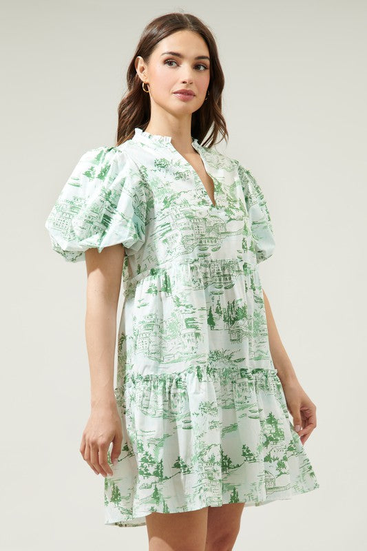 All In The Details Toile Dress in Green