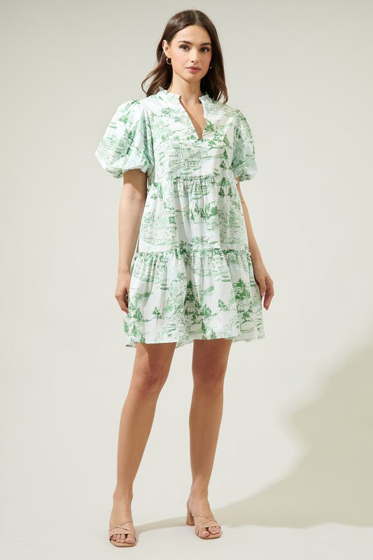 All In The Details Toile Dress in Green