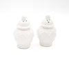 White Textured Jar Salt & Pepper Shaker Boxed Set